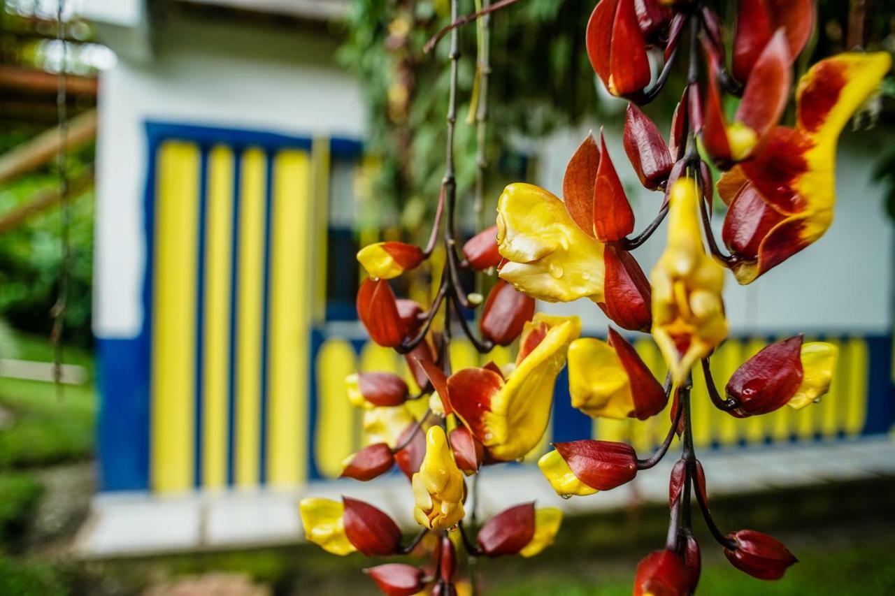 Chalet Villa Alejandra Del Pilar キンバヤ エクステリア 写真